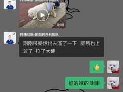 -伟伟宠物医院·CT影像中心·瑞派犬猫综合性门诊(汉口总院)