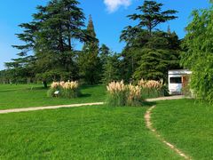 -上海共青森林公园