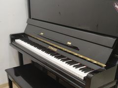 -飞童凡响艺术学校(松江区九里亭校区)