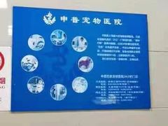 -申普宠物医院·眼科·心内科·影像科(普陀分院)