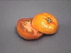 -琦记丰顺捆粄(蛇口店)