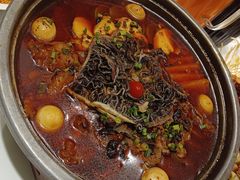 -眉州东坡(民族园店)