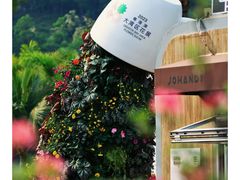 -深圳仙湖植物园