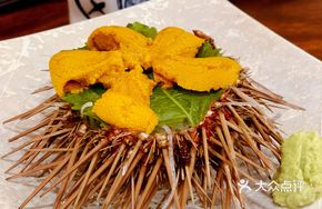 Large Sea Urchin Sashimi