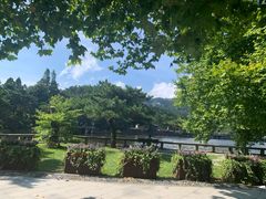 -庐山风景区花径公园