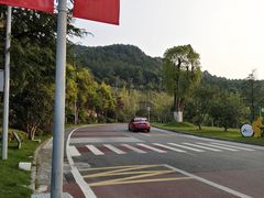 -铁山坪森林公园