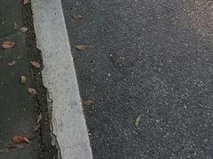 -火炉山森林公园
