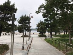 -台场海滨公园船码头