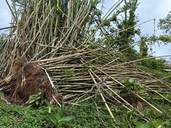 -海南热带野生动植物园