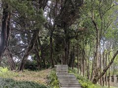 -嘉定紫藤园