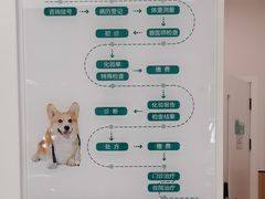 -瑞派康怡24h宠物医院·犬猫医疗中心·微创绝育(瑞景分院)