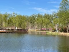 -东郊湿地公园