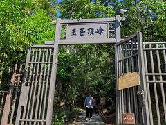-玉苍山国家森林公园