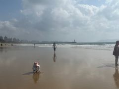 -海南清水湾莱佛士酒店