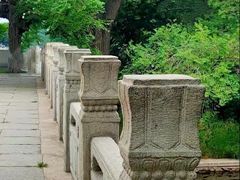 -北陵公园
