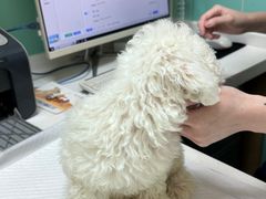 -全心全意连锁动物医院(石景山店)