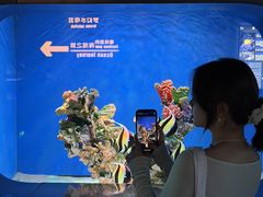 -重庆欢乐海底世界