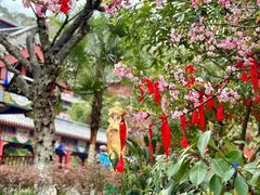 -黔灵山公园