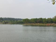 -东郊湿地公园
