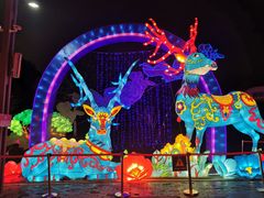 -武汉园博园(武汉自然博物馆)