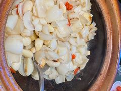 啫啫五年鲜百合-煲煲好(朝阳门店)