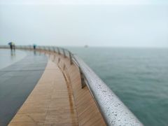 -演武大桥观景平台