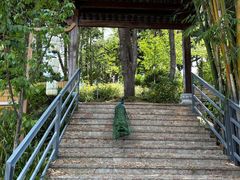 -南诏风情岛