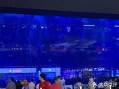 -成都浩海立方海洋公园