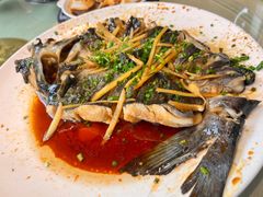 -生态苑农庄(十里画廊遇龙河店)