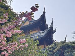 -龙华寺