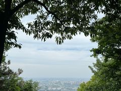 -惠山国家森林公园