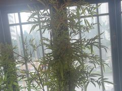 -洞庭土菜馆(天河北总店)
