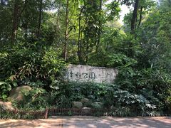 -成都市活水公园