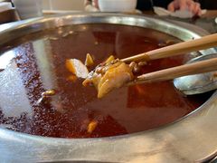 -冯记香辣兔火锅(茶店子总店)