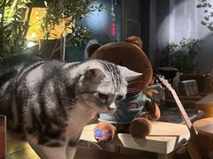 -咖法森林·咖啡  酒吧(天河店)