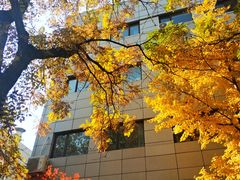-中国石油大学（北京）(北京西校区)