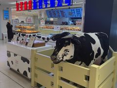 -红星前进面包牛奶公司(君太店)