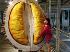 -都念榴莲·城市榴莲