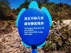 -广东惠东海龟国家级自然保护区
