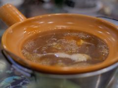 -大中鱼翅 Taitong Shark Fin