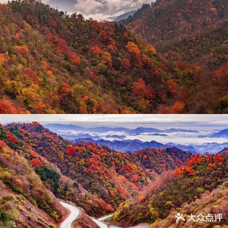 秦岭赏秋 | 这个十一假期,去看秦岭漫山红叶❗