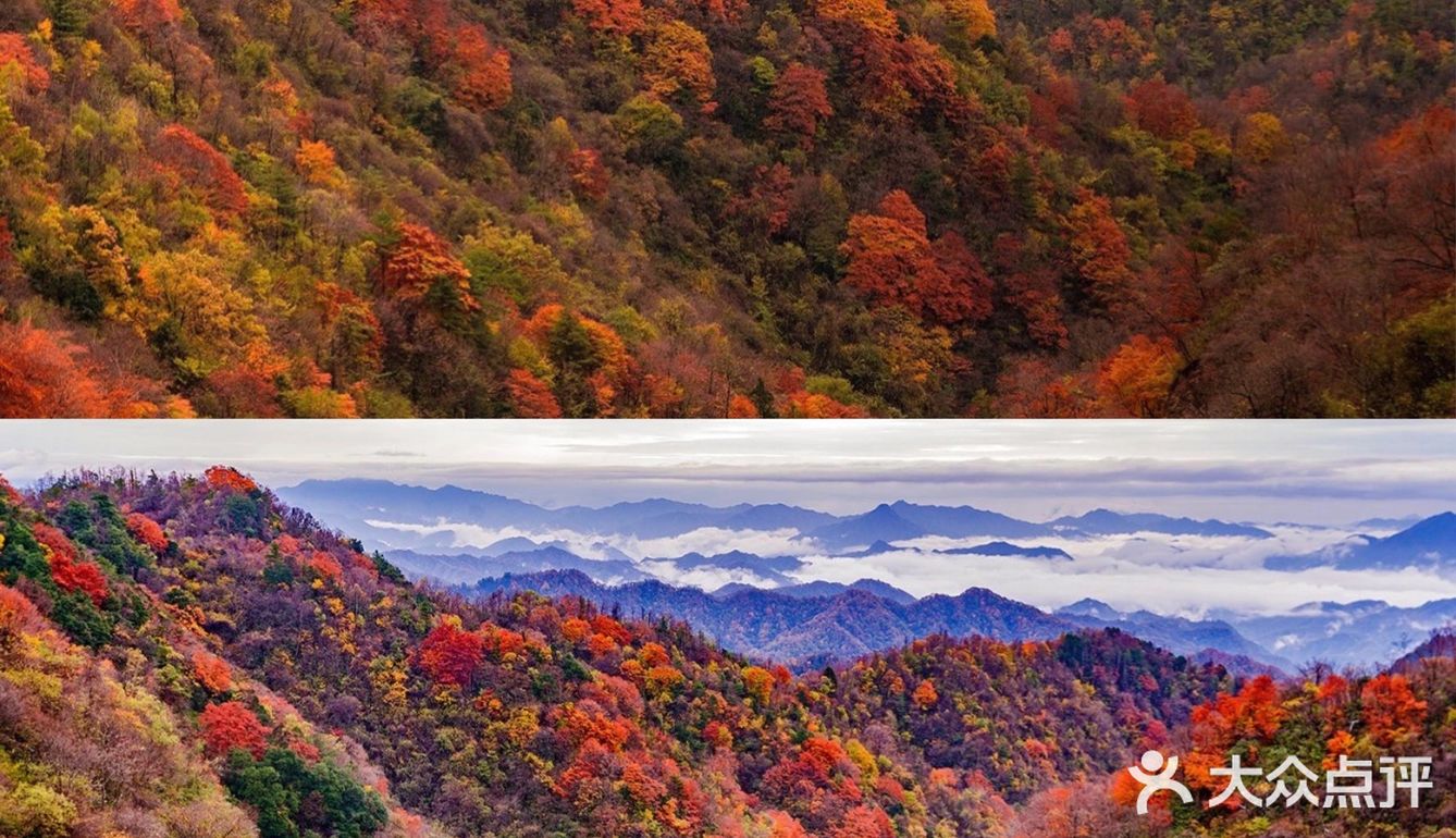 秦岭赏秋 | 这个十一假期,去看秦岭漫山红叶❗