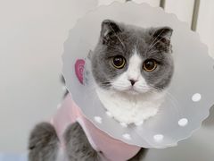 -达爱动物医院·犬猫分区·CT·复杂眼科(远洋山水分院)