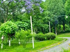 -白鹭湾湿地公园