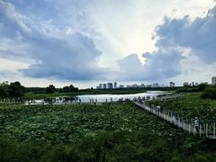 -哈尔滨大剧院