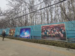 -枫花园汽车电影院(朝阳公园店)