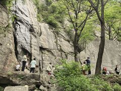 -王顺山国家森林公园