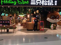 门面-三只松鼠