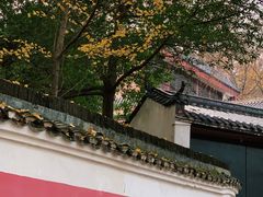 -杨裕兴(岳麓山店)