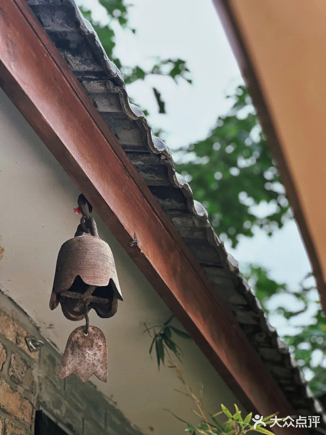 梅雨季节小巷深处，我喝到了蓝天白云🌤️